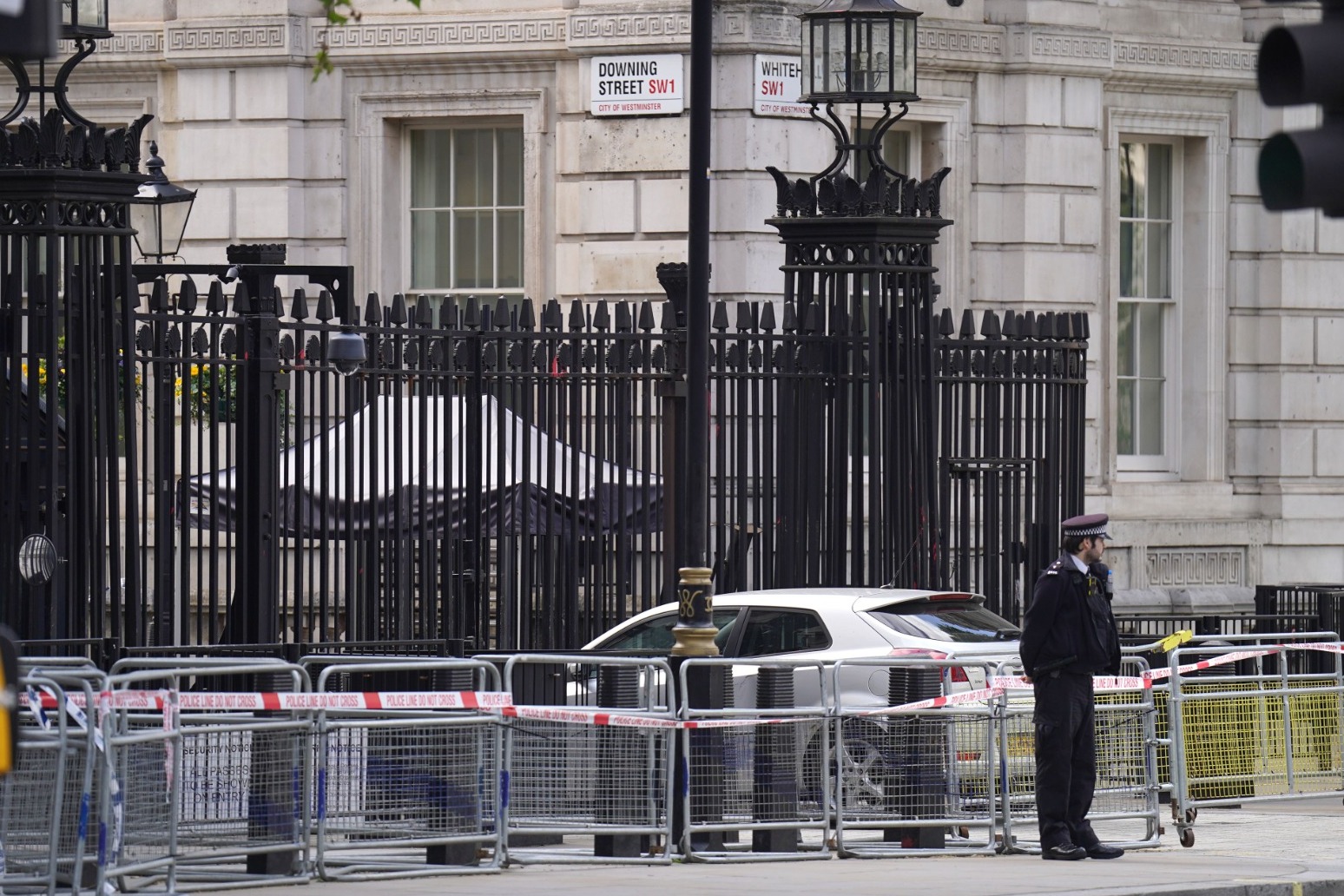 Man arrested after car crashes into gates of Downing Street 