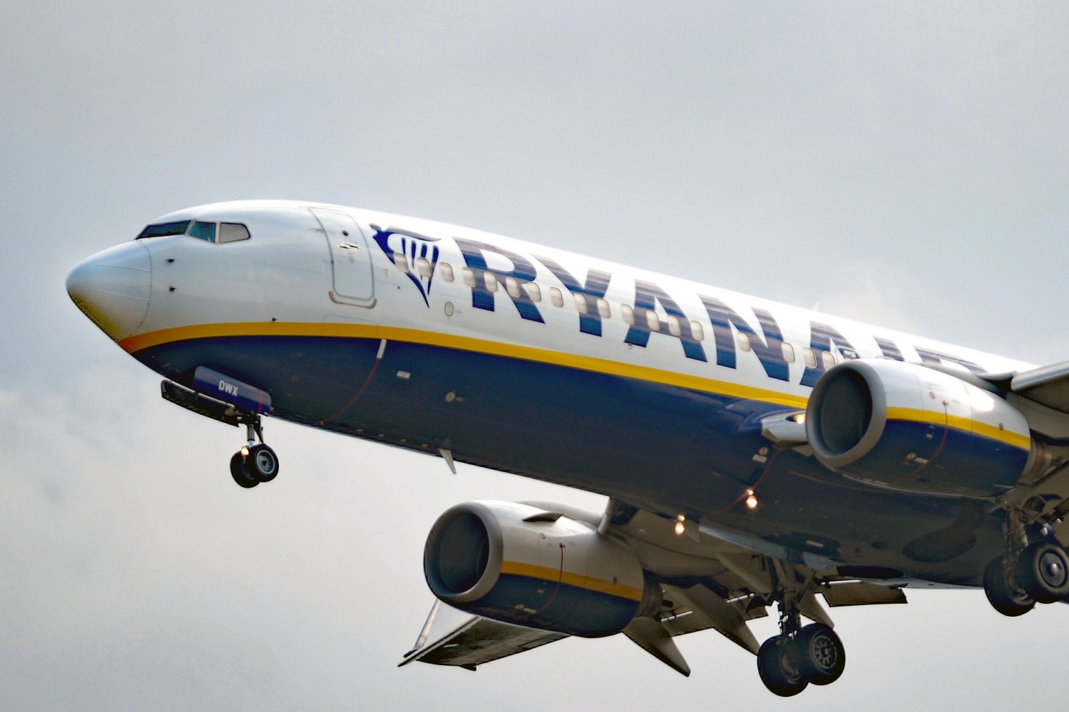 Ryanair, Jet2.com and Tui ranked worst in UK for website accessibility 