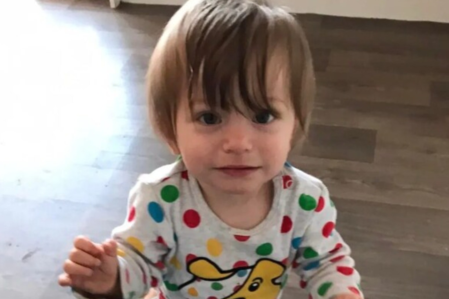 Police force referred to watchdog after toddler found dead next to dad 