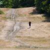 At Least 1147 Died From Climate Driven Heat In UK This Summer